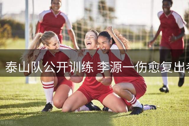 泰山队公开训练 李源一伤愈复出参与合练