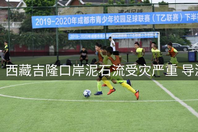 西藏吉隆口岸泥石流受灾严重 导游因改变行程幸免于难