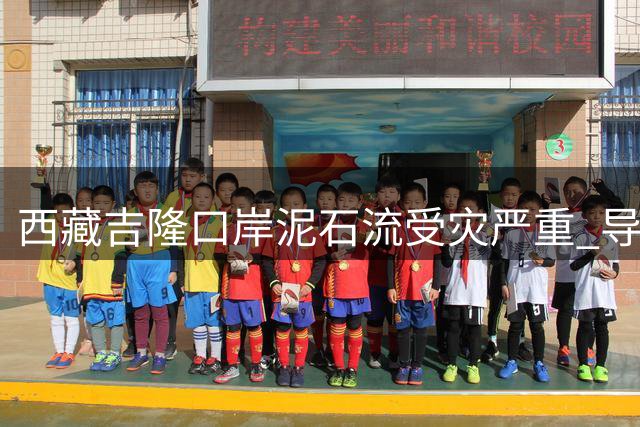 西藏吉隆口岸泥石流受灾严重 导游因改变行程幸免于难