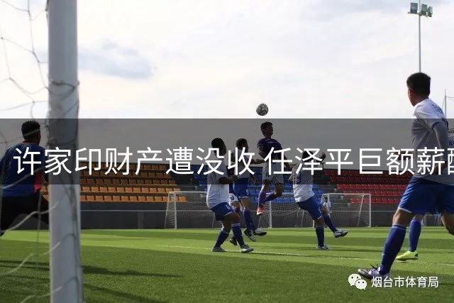 许家印财产遭没收 任泽平巨额薪酬是否需退还引关注