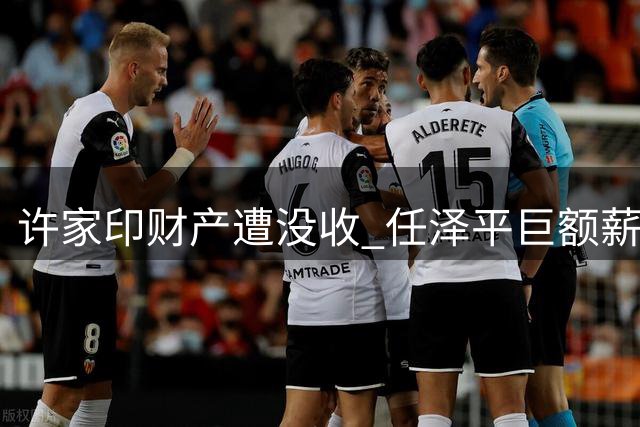 许家印财产遭没收 任泽平巨额薪酬是否需退还引关注